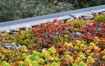 the cost of Woollaston green roof installation