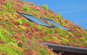 Woollaston living roof systems