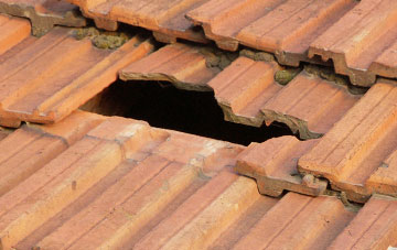 roof repair Woollaston, Staffordshire